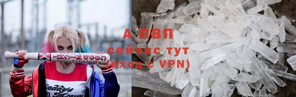 ПСИЛОЦИБИНОВЫЕ ГРИБЫ Кинешма