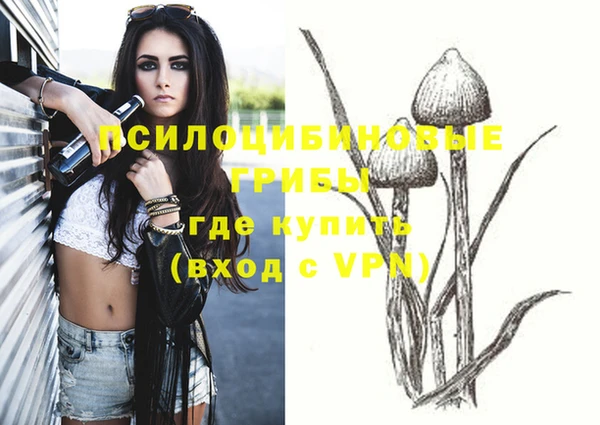 ПСИЛОЦИБИНОВЫЕ ГРИБЫ Кинешма