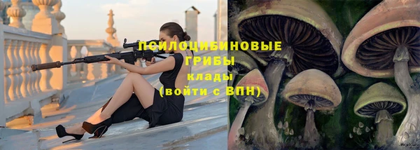 ПСИЛОЦИБИНОВЫЕ ГРИБЫ Кинешма